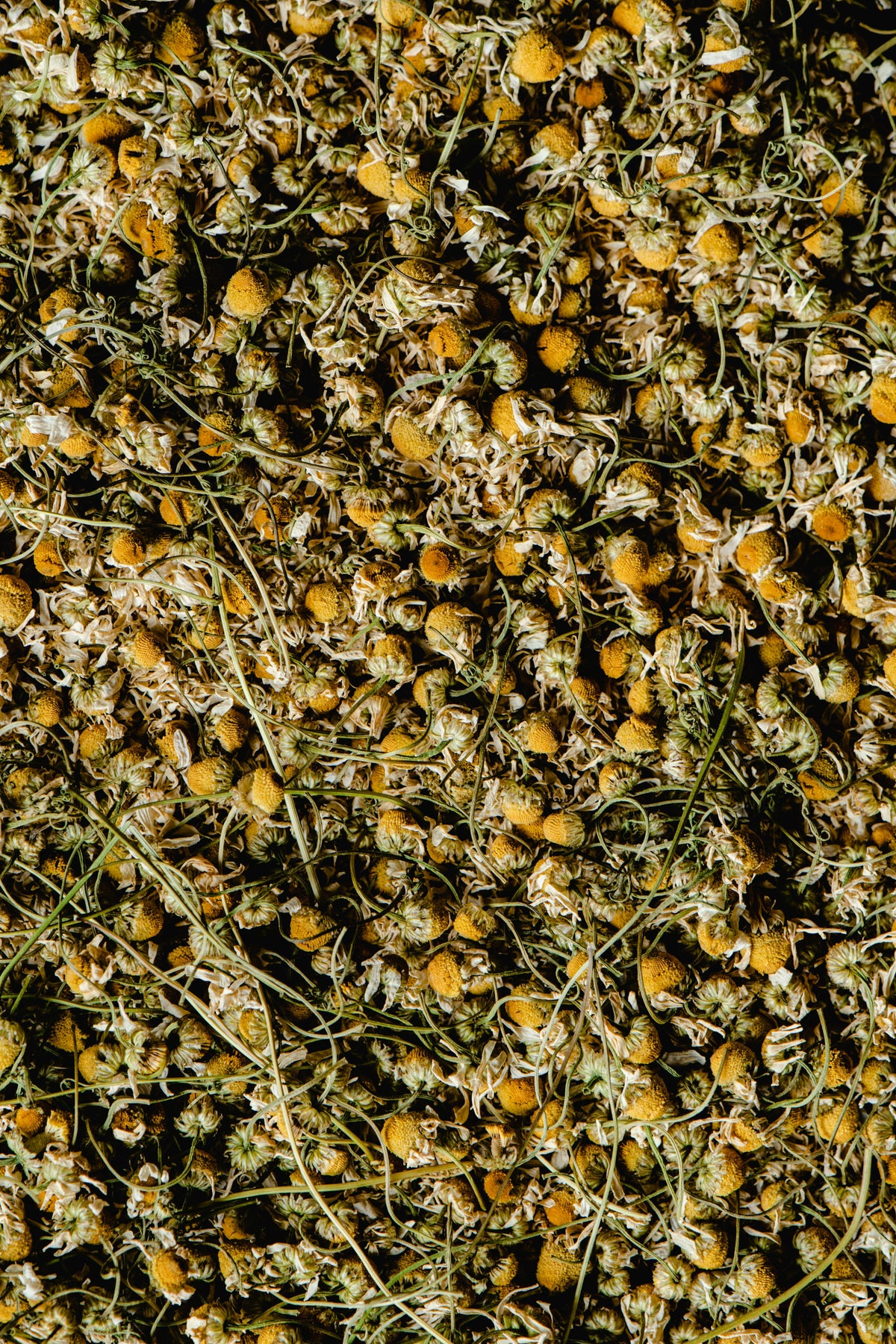 Organic Herbal Teas | Premium Loose Leaf Tea