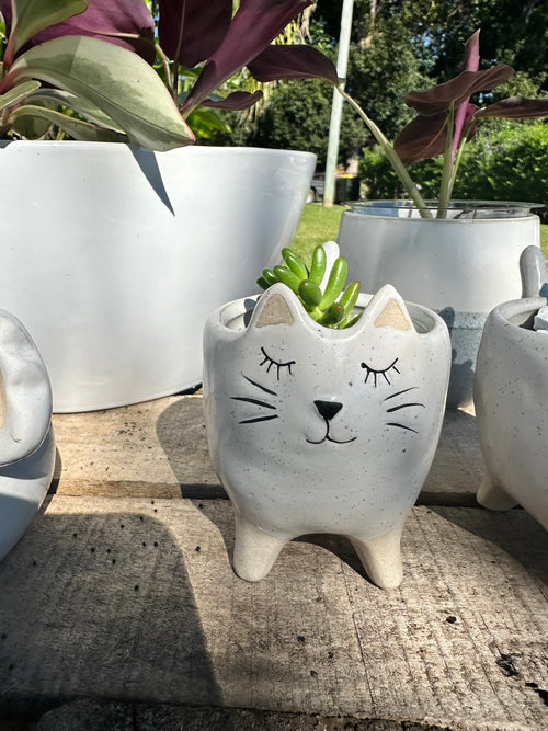 Cute Kitty Cat Ceramic Pot