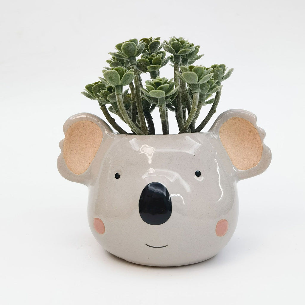 Ceramic koala planter with a small plant on a white background