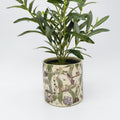 May Gibbs Gumnut Babies Indoor Ceramic pot