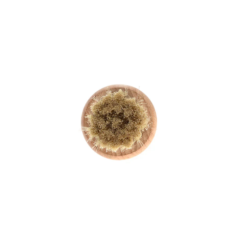 Food cleaning brush