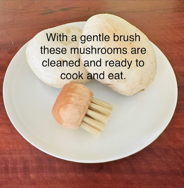 Food cleaning brush