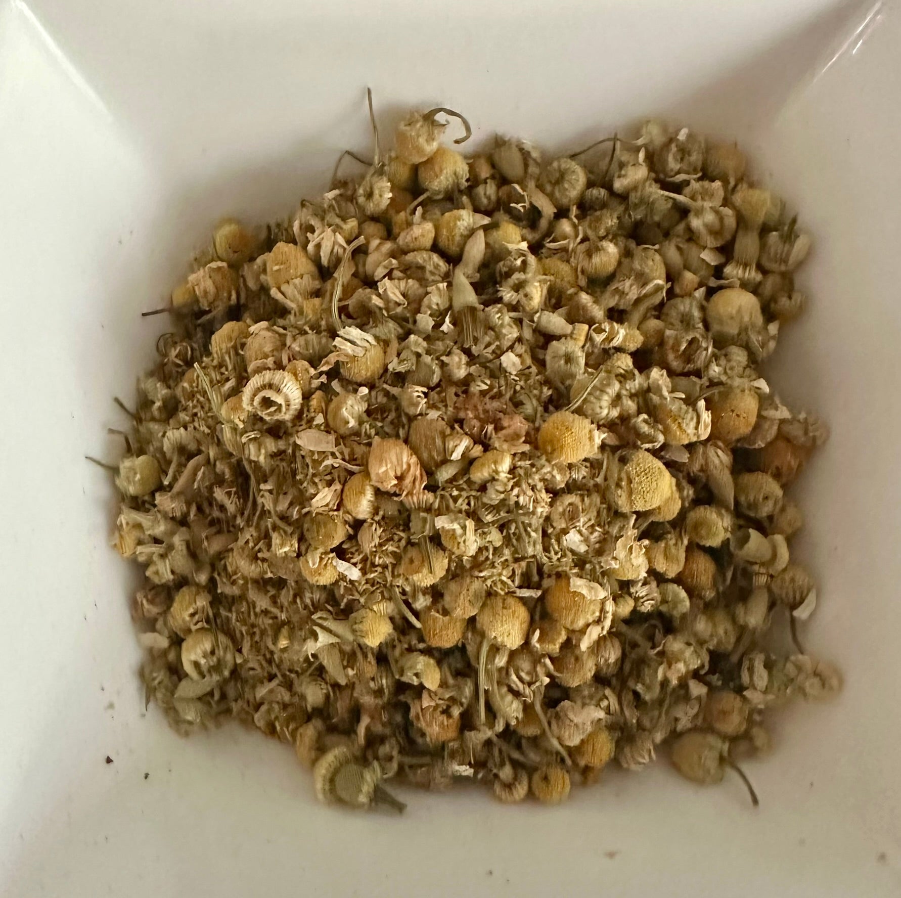 Organic_Chamomile_by_eumundi_herb_farm